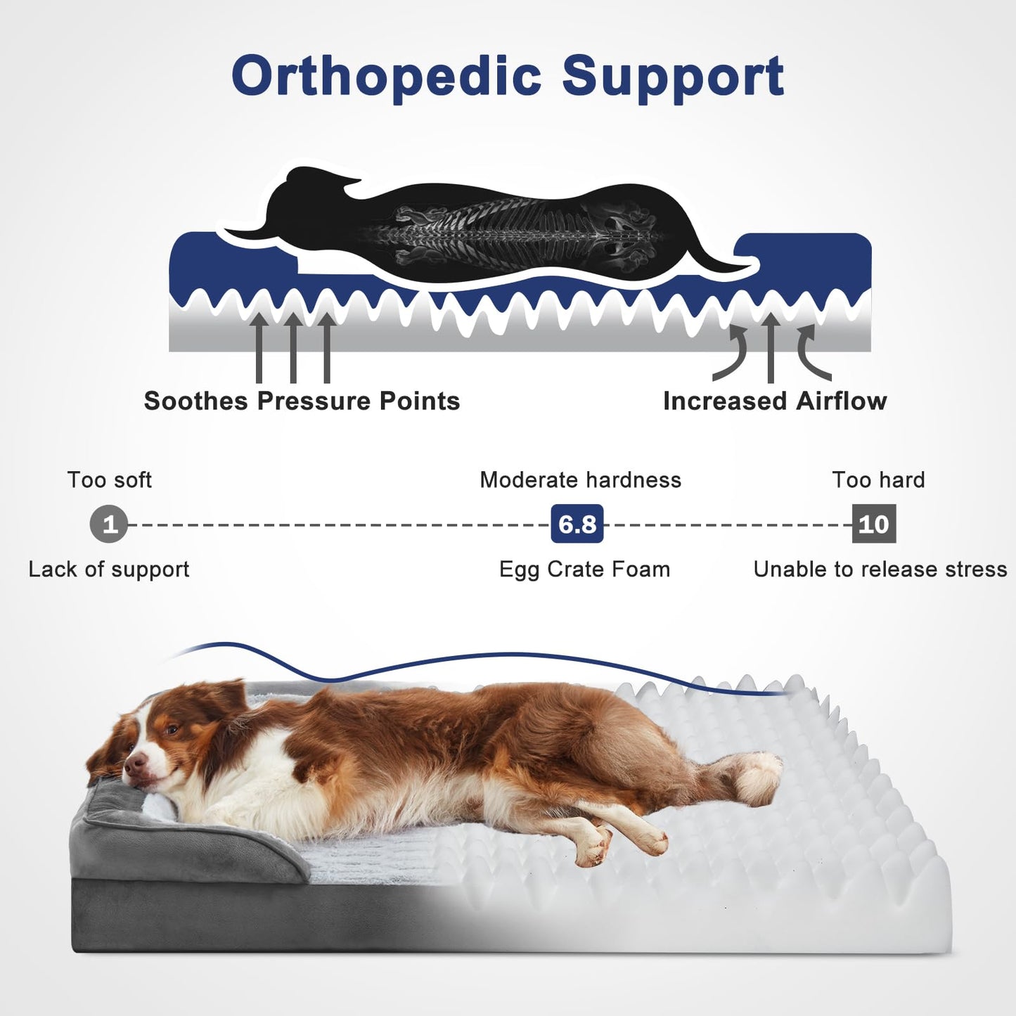 Feeriva™ XL Orthopedic Dog Sofa Bed