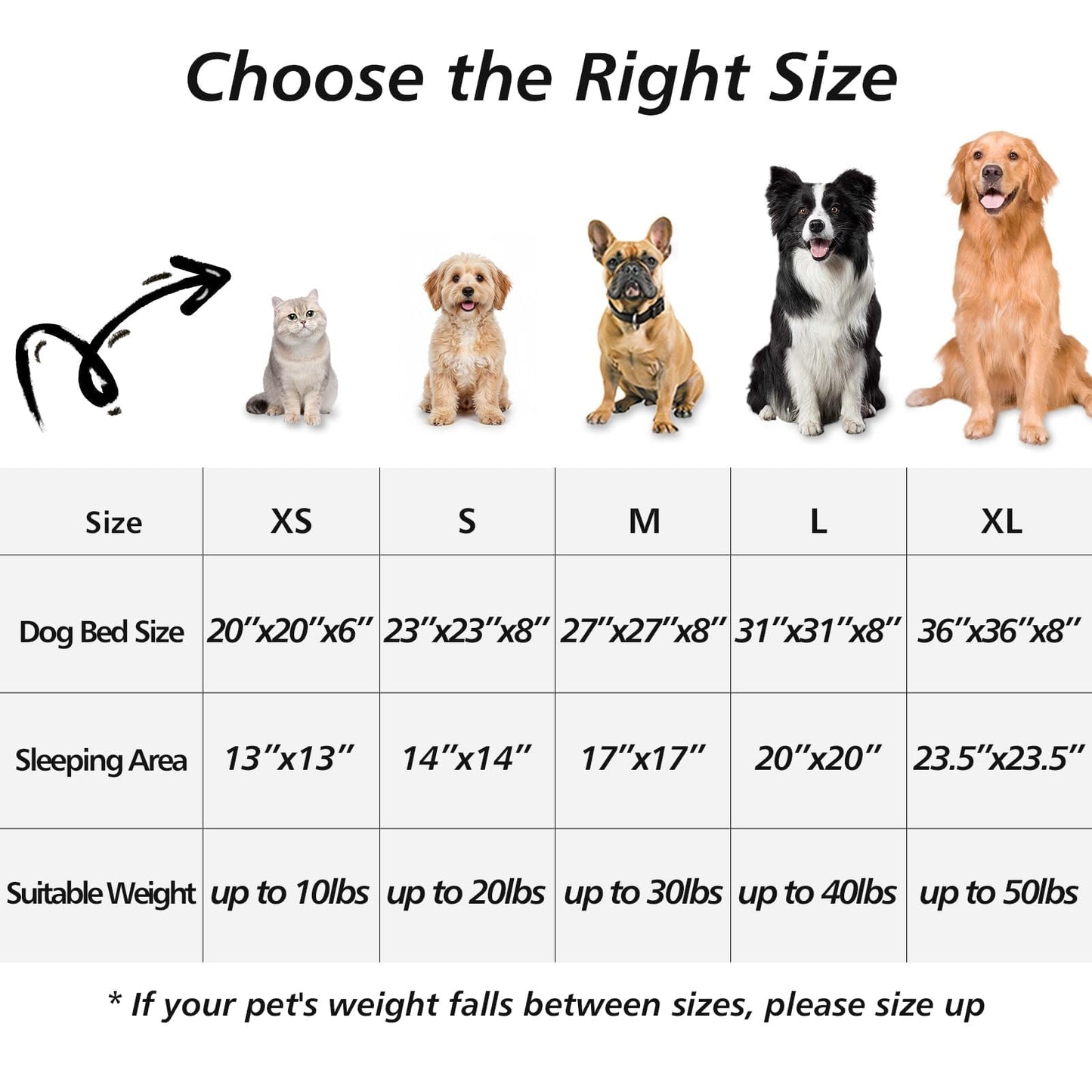 Feeriva™ Donut Cuddler Pet Bed – 20