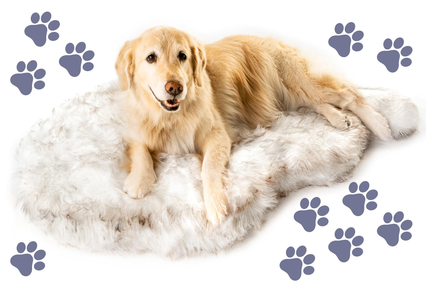 Feeriva™ Orthopedic Dog Bed – Large/XL