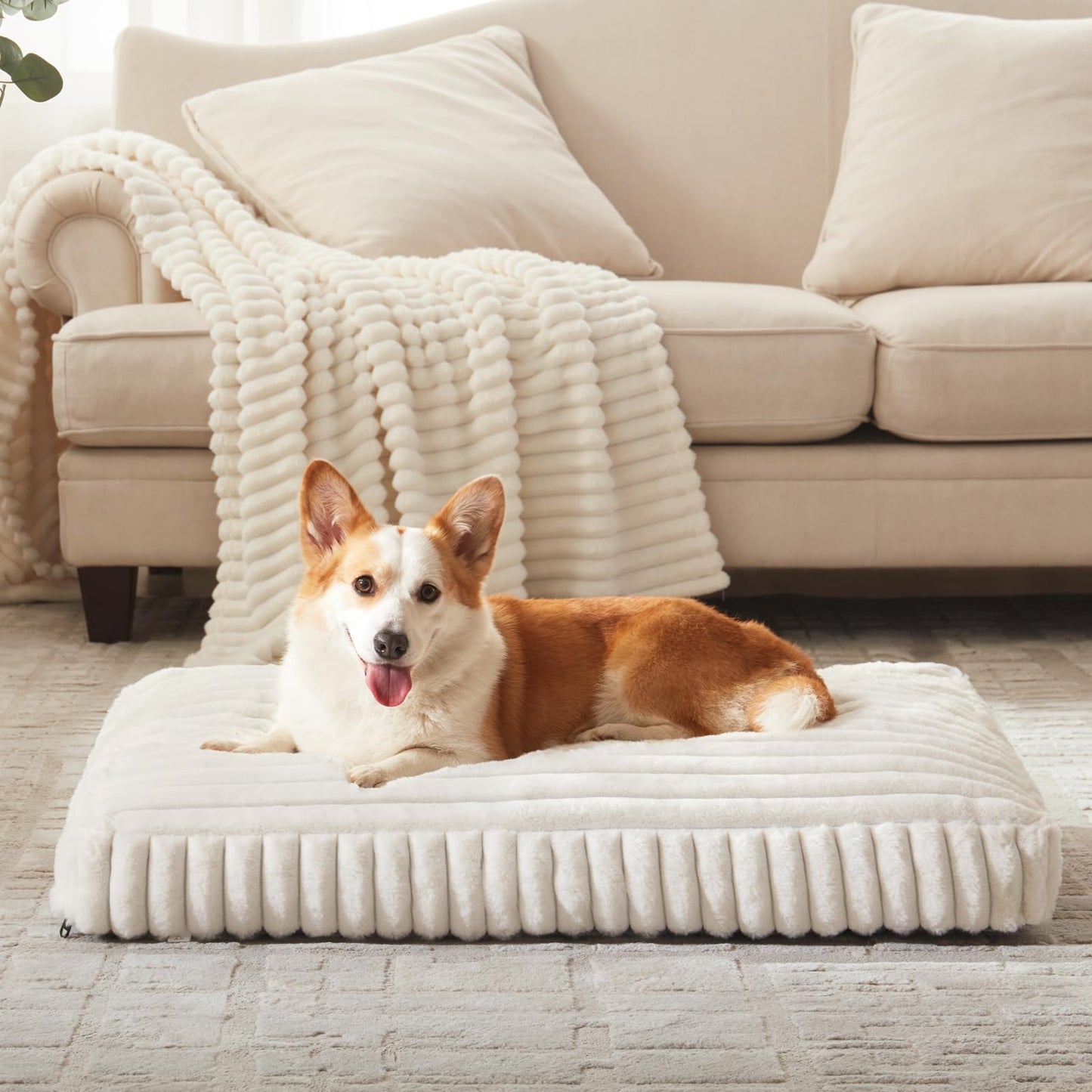Feeriva™ Large Dog Bed – 35" × 23"