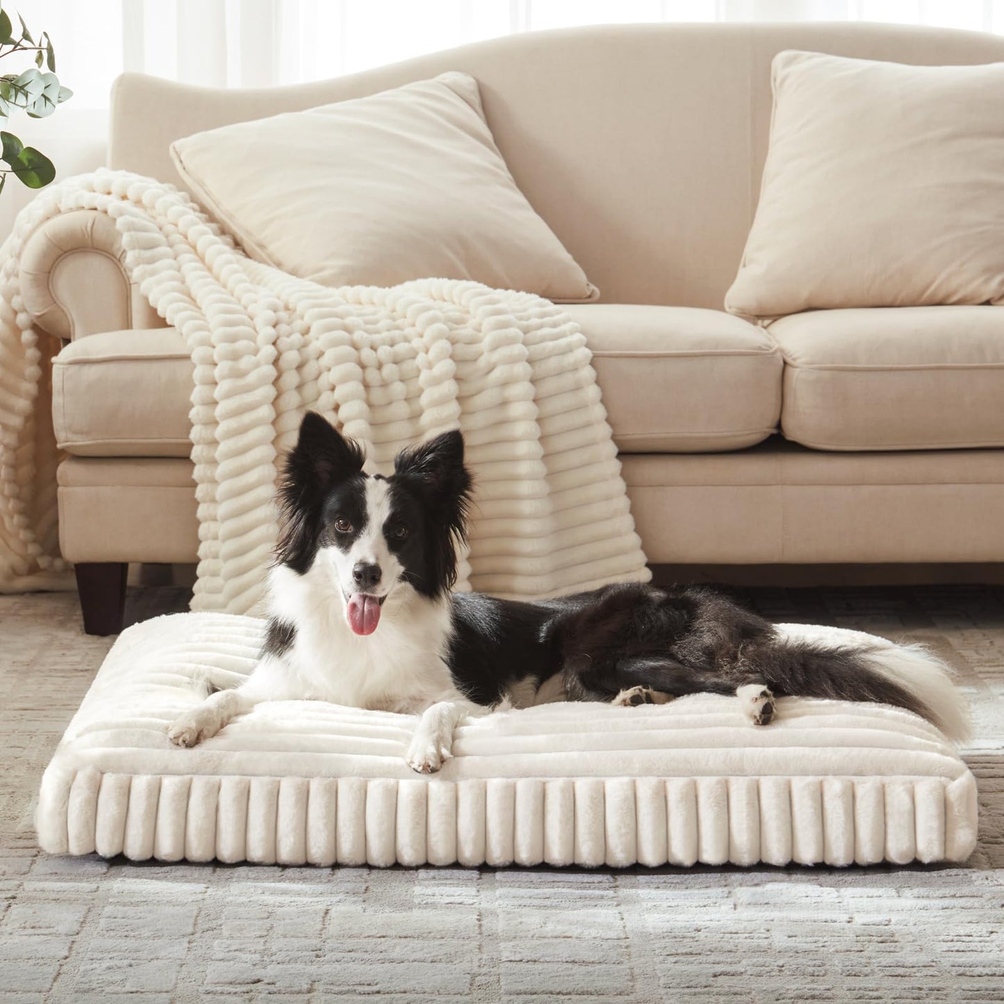 Feeriva™ Large Dog Bed – 35" × 23"