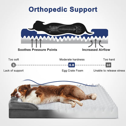 Feeriva™ XL Orthopedic Dog Sofa Bed