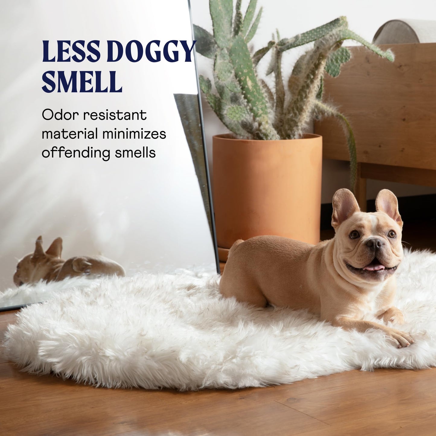 Feeriva™ Orthopedic Dog Bed – Large/XL