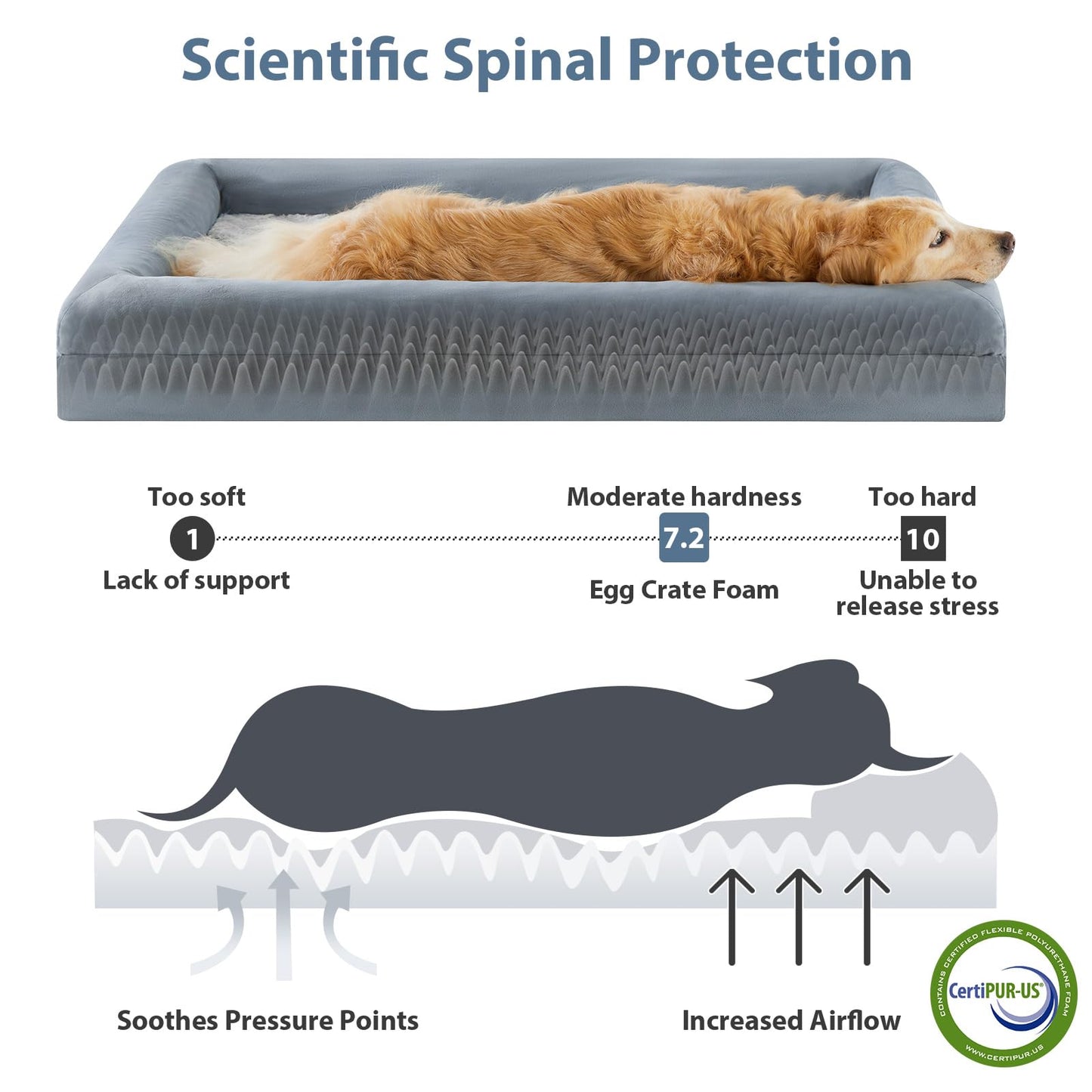 Feeriva™ XL Orthopedic Dog Sofa Bed